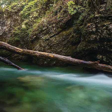 Tatil Evi 2 Bedroom Stunning In Lukovdol