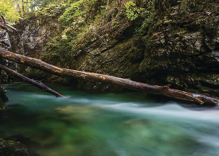 Σπίτι διακοπών 2 Bedroom Stunning In Lukovdol Stari Trg ob Kolpi